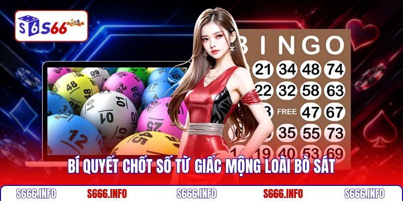 Bí quyết chốt số từ giấc mộng loài bò sát