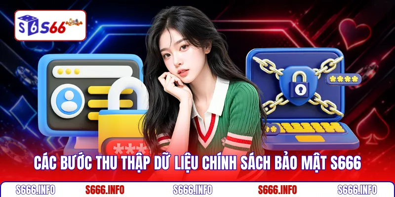 Các bước thu thập dữ liệu chính sách bảo mật S666