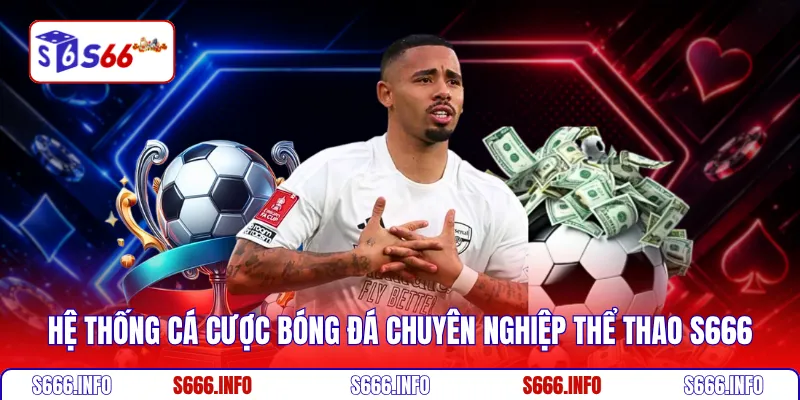 Hệ thống cá cược bóng đá chuyên nghiệp Thể thao S666
